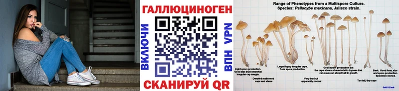 Псилоцибиновые грибы Magic Shrooms  купить наркотики сайты  Иланский 